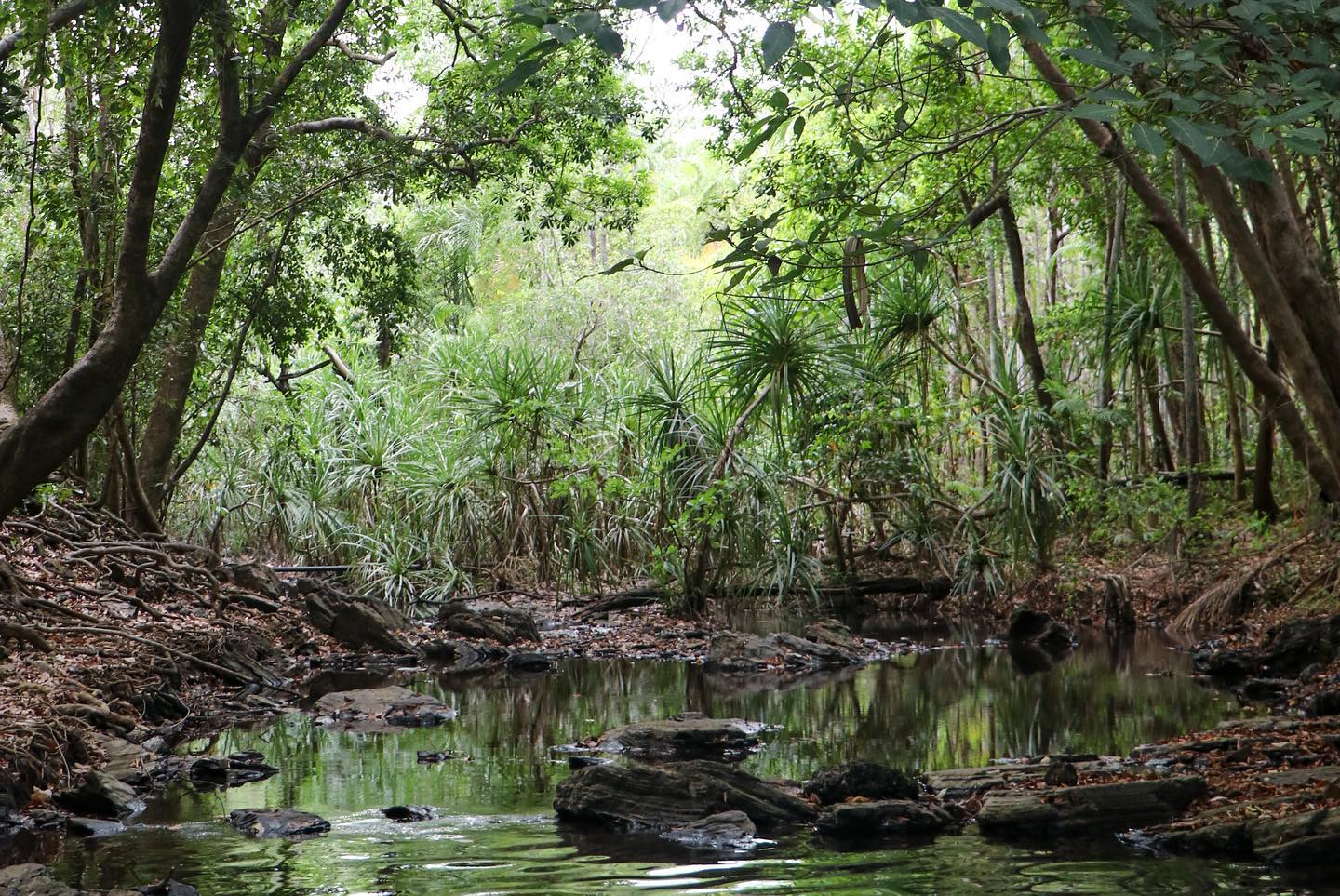 Berry Springs Nature Park.