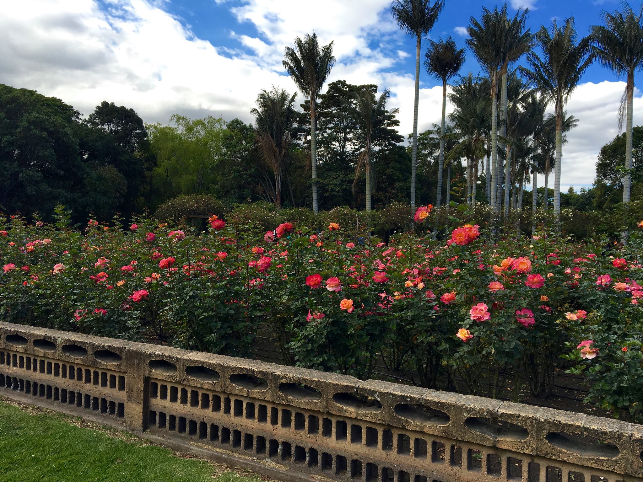 Bogotá Botanical Garden