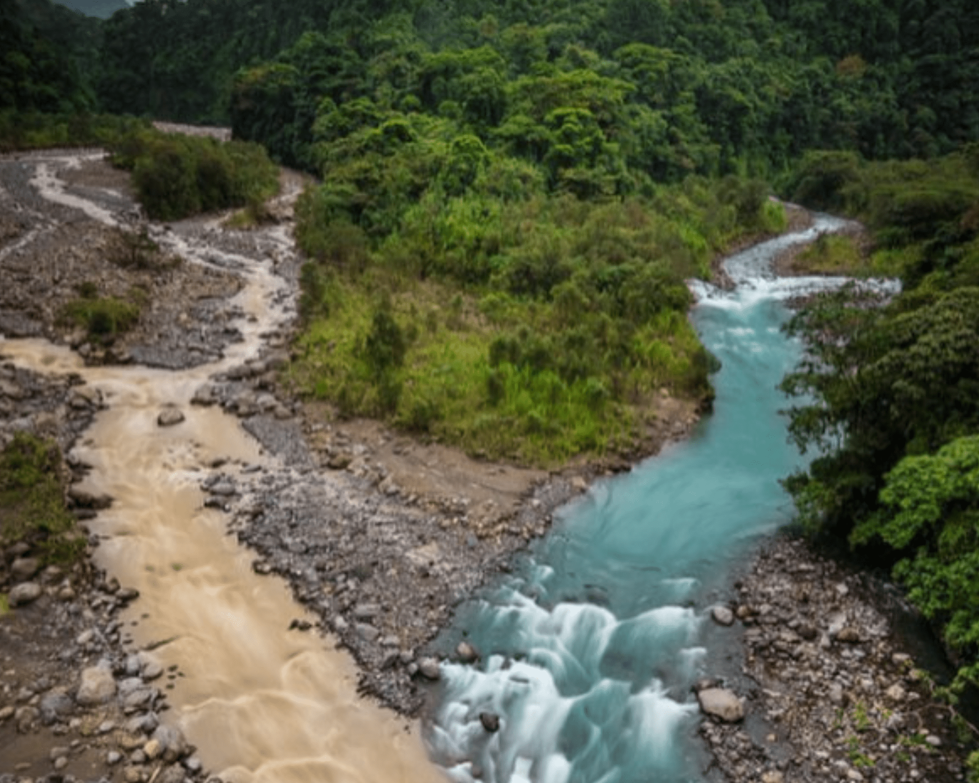 Braulio Carrillo National Park