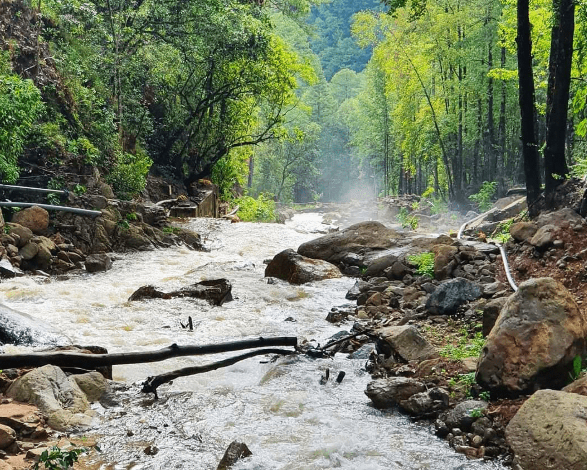 Celaque National Park