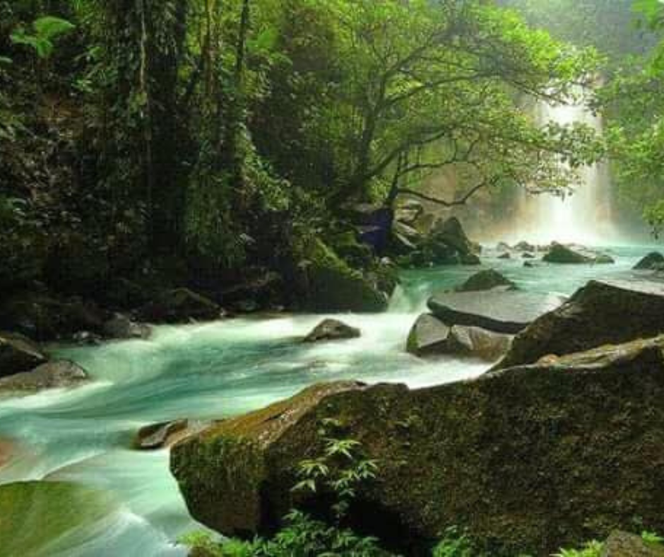 Guanacaste National Park