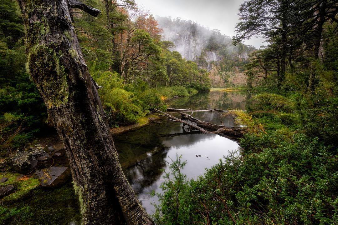 Huerquehue National Park