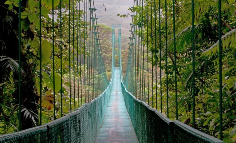 Monteverde Biological Reserve