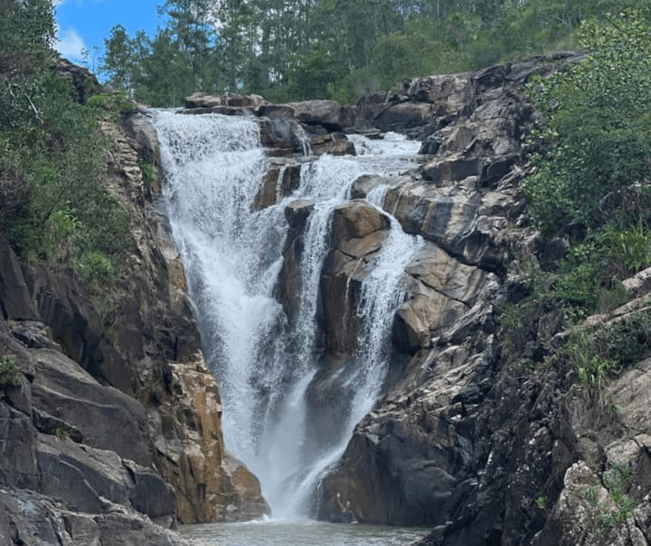 Mountain Pine Ridge Forest Reserve