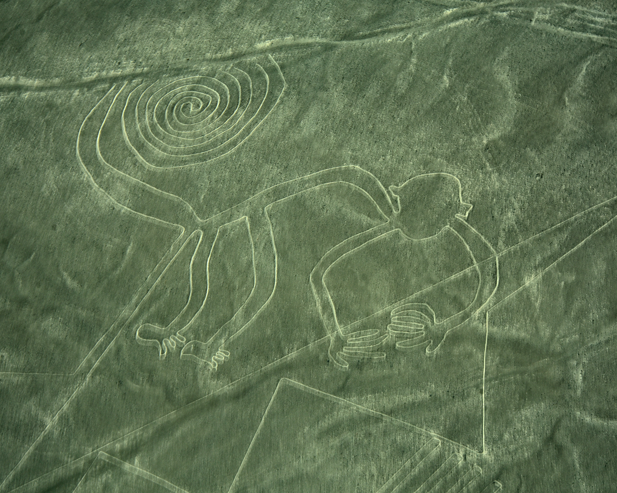 Nazca Lines