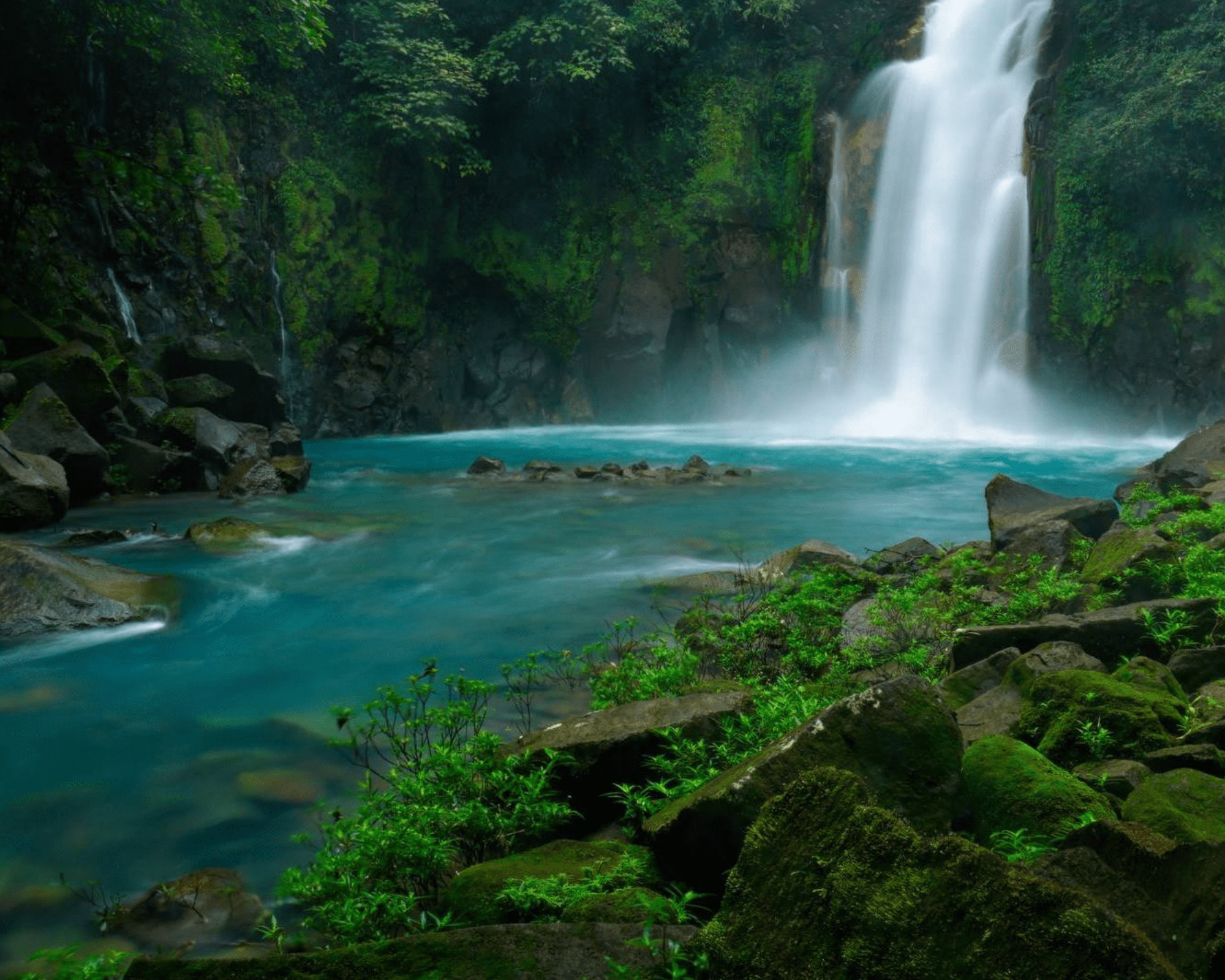 Parque Nacional Volcán Tenorio