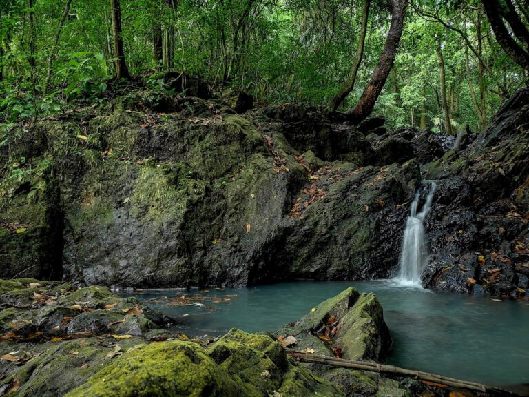 Soberanía National Park