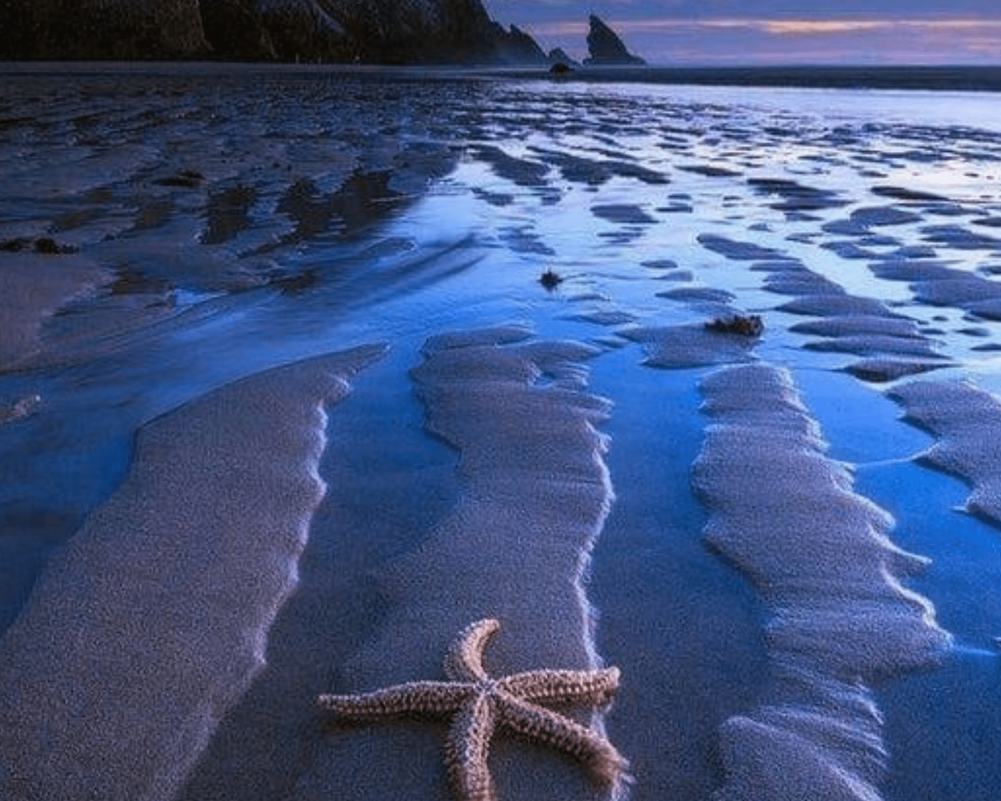 Starfish Beach