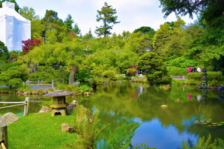 Golden Gate Park