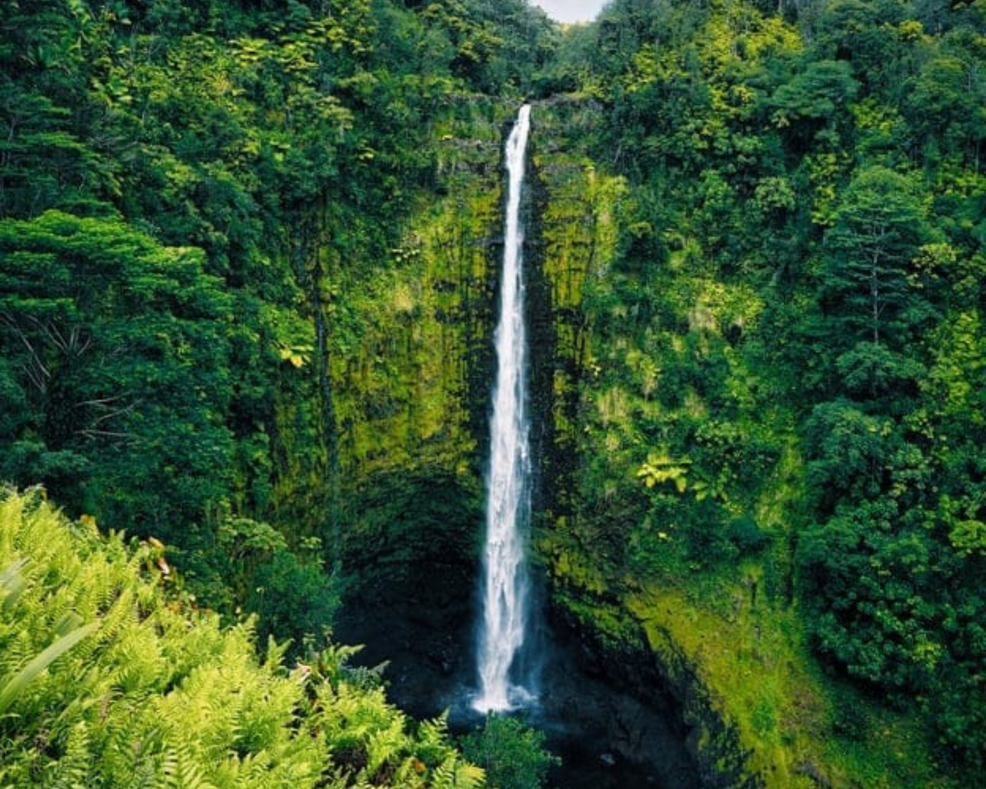 Akaka Falls State Park