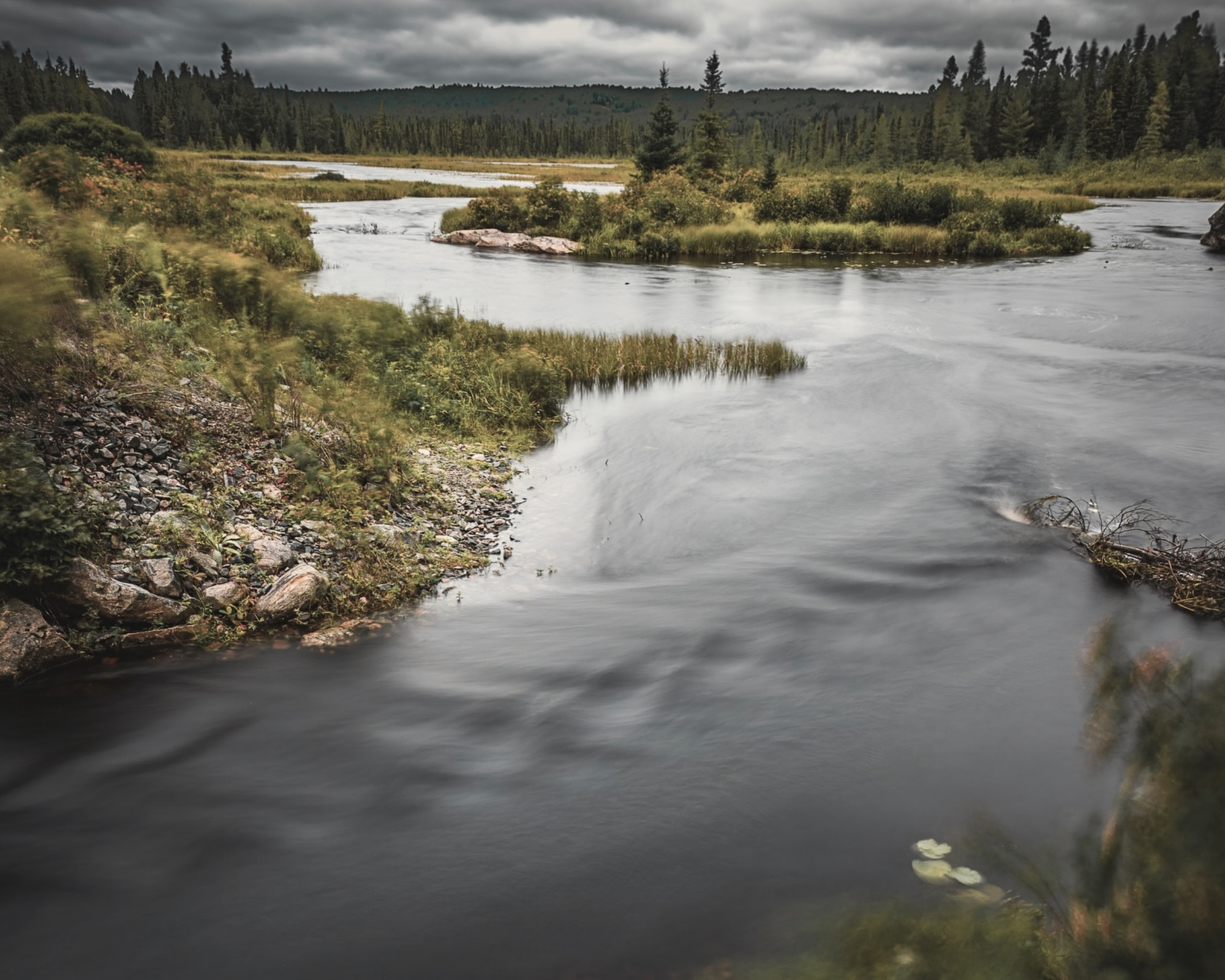 Algonquin Provincial Park