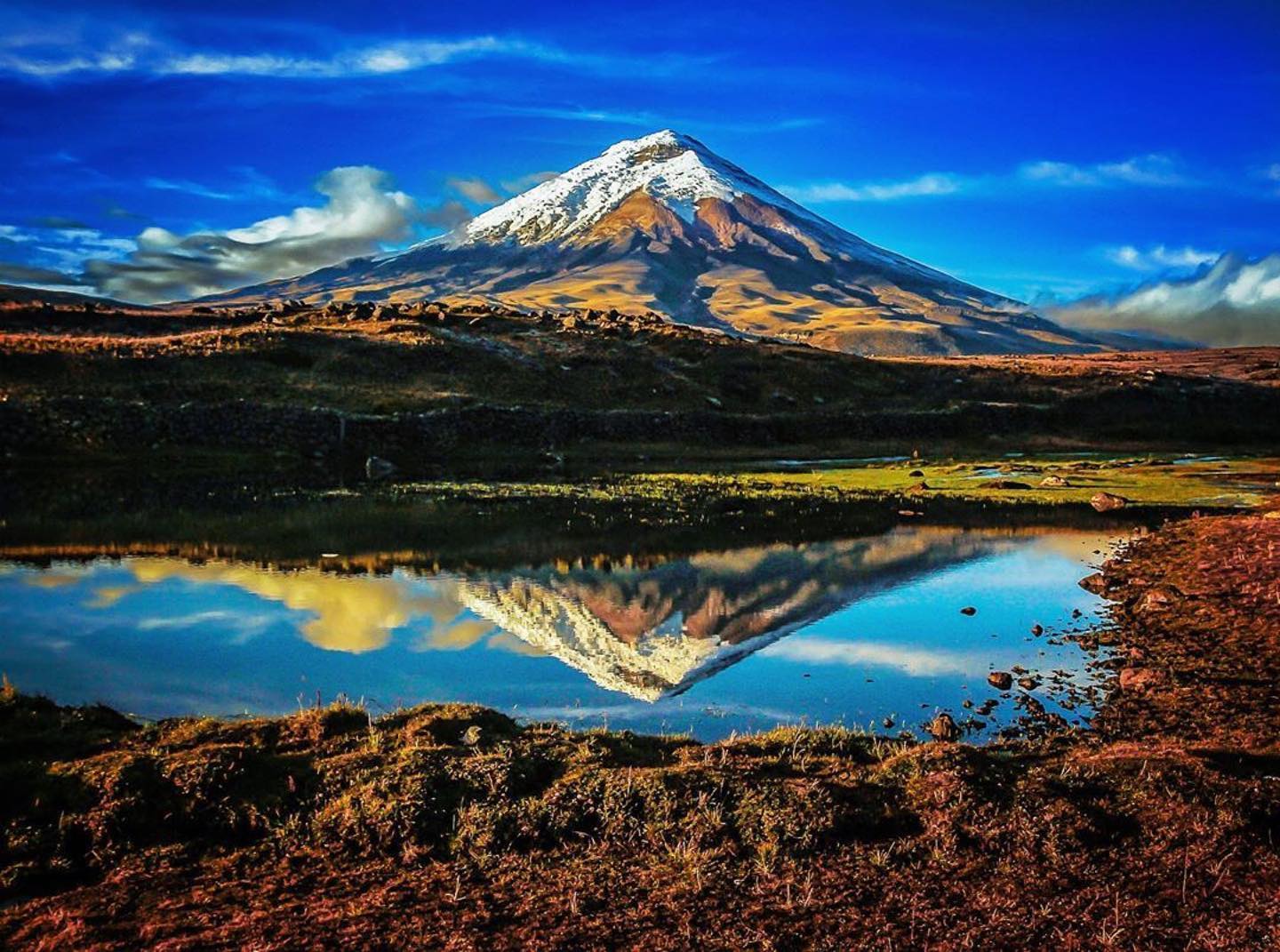 Cotopaxi National Park