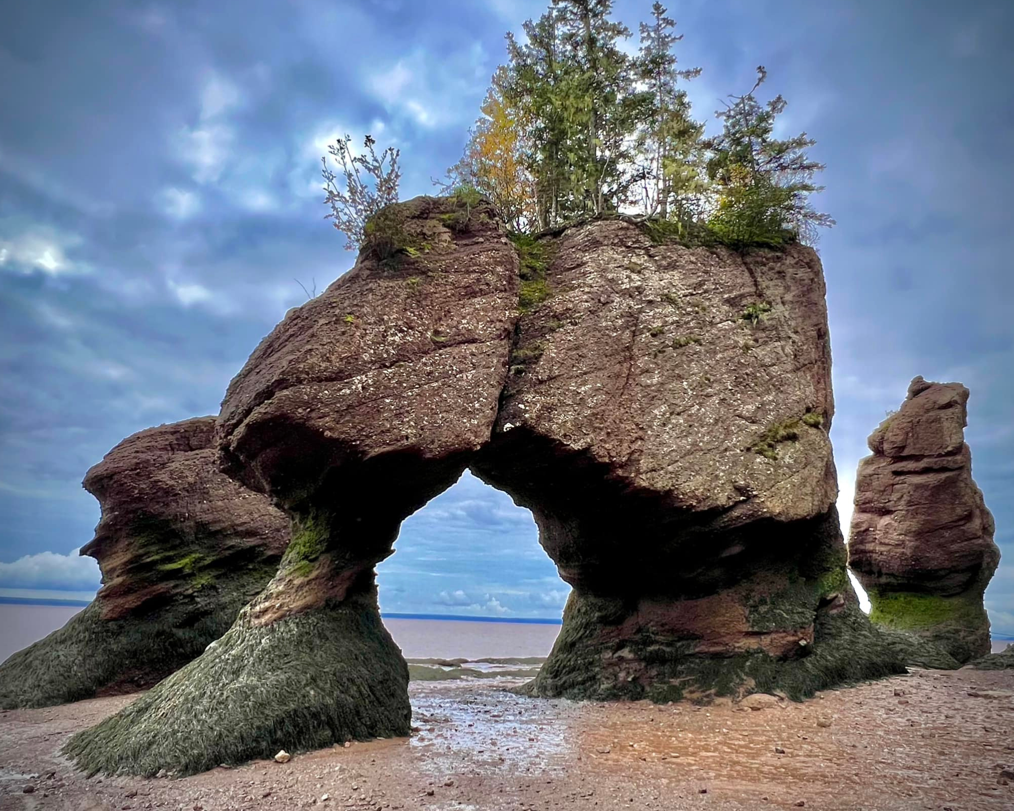 Hopewell Rocks