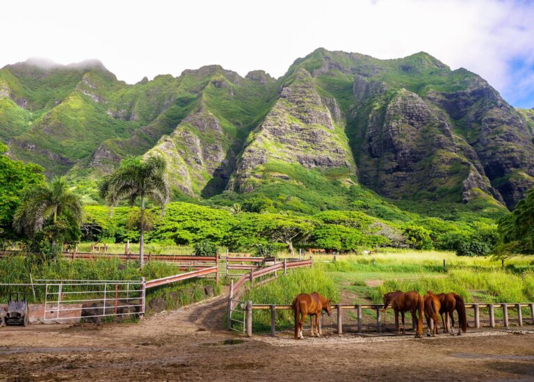 Kualoa Ranch