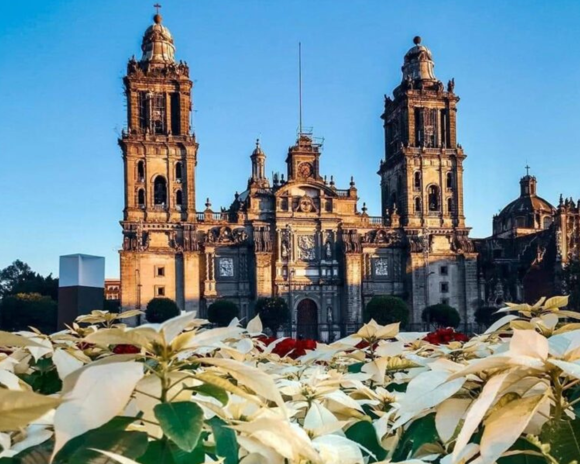 Plaza de la Constitución