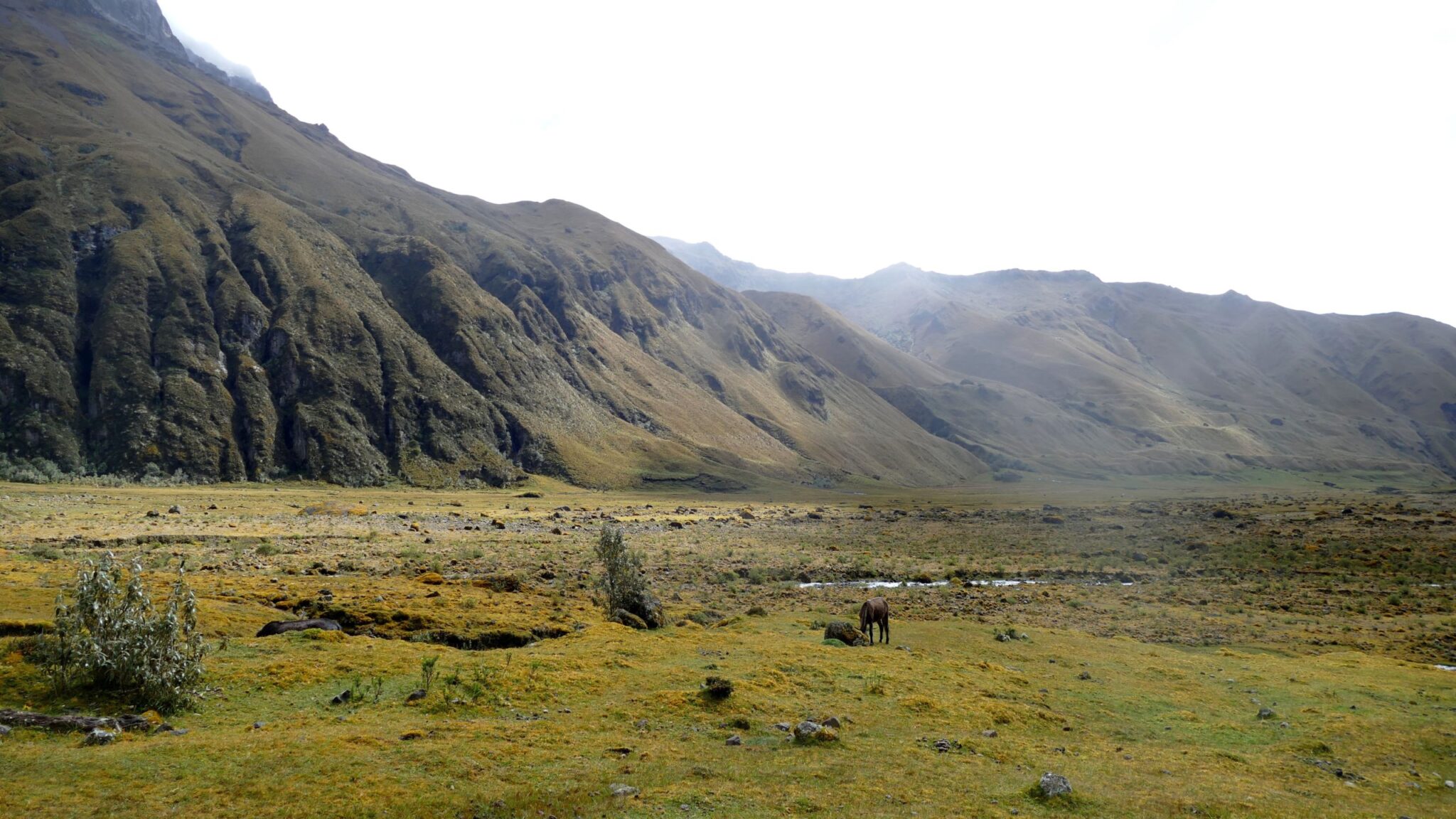 The Sangay National Park