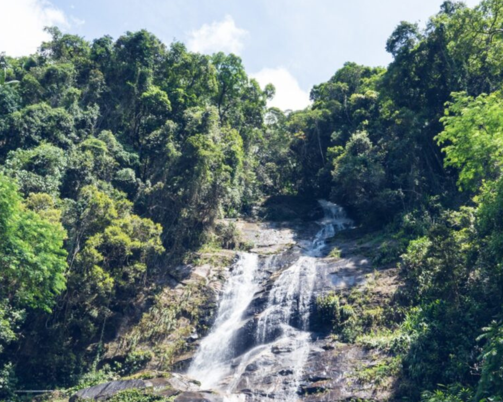 Tijuca National Park