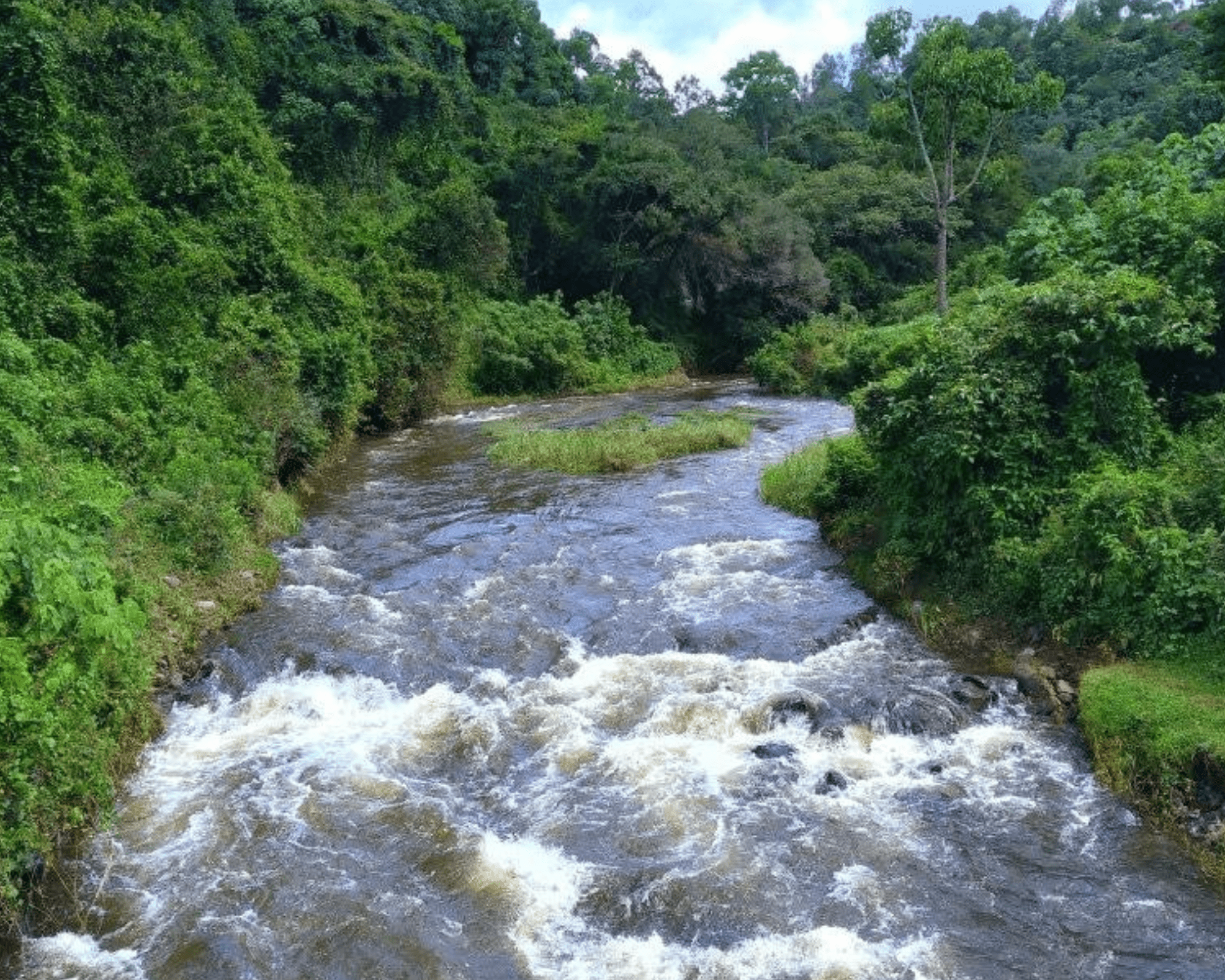 Aberdare National Park