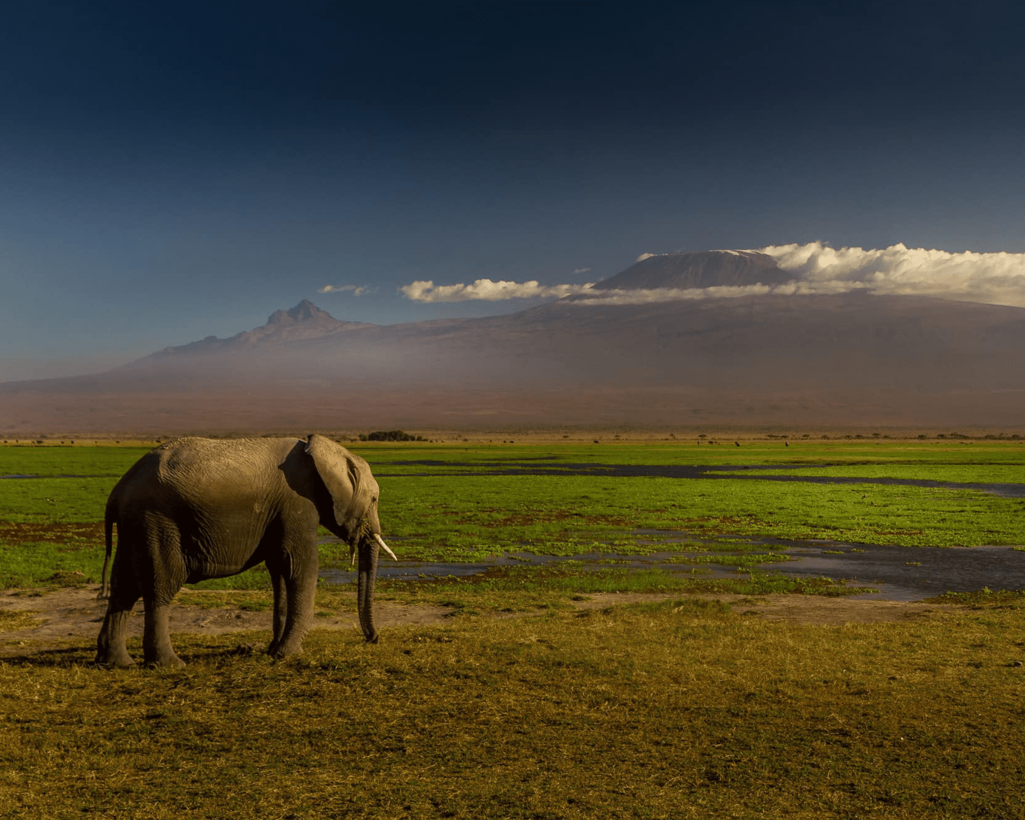 Amboseli National Park