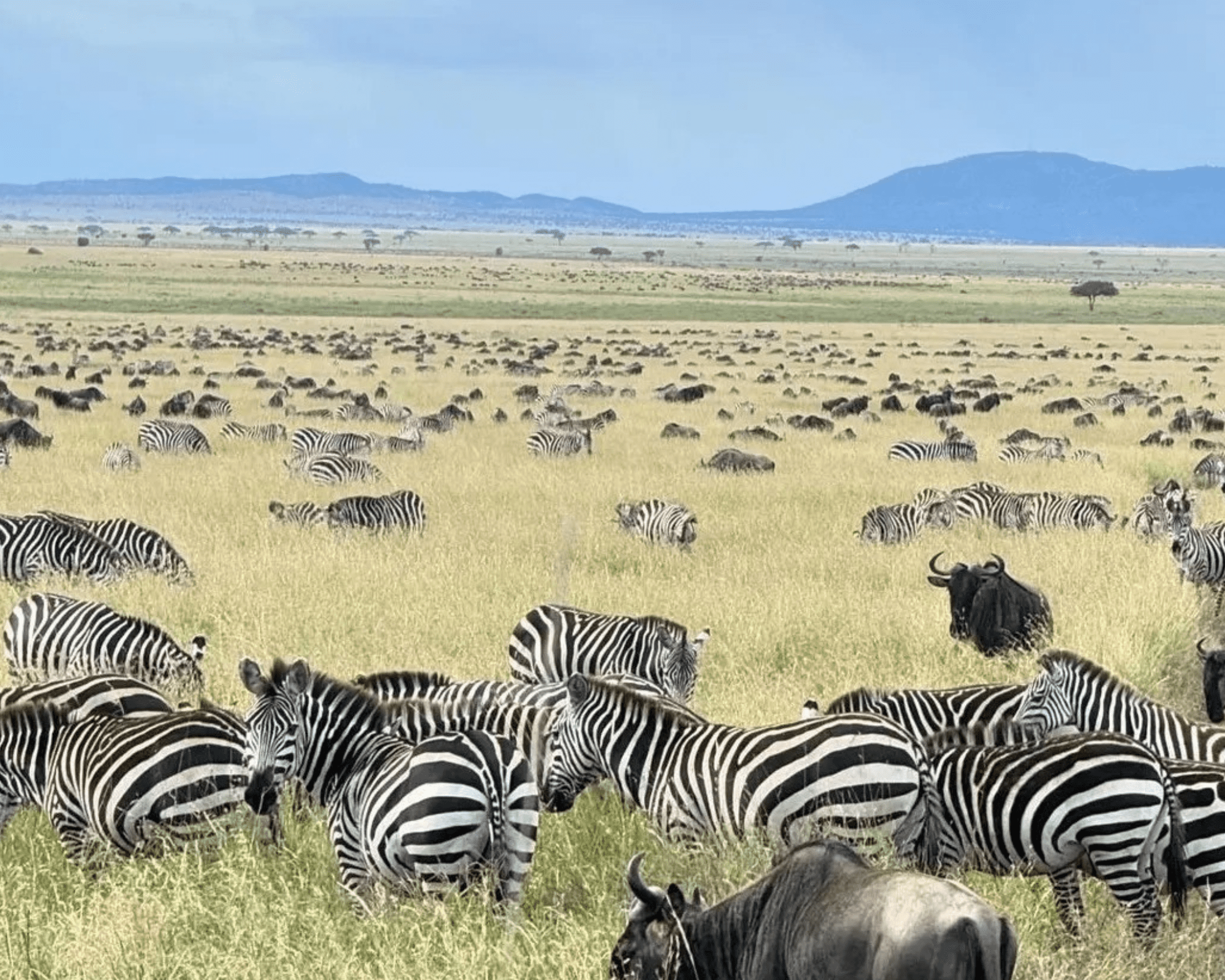 Arusha National Park