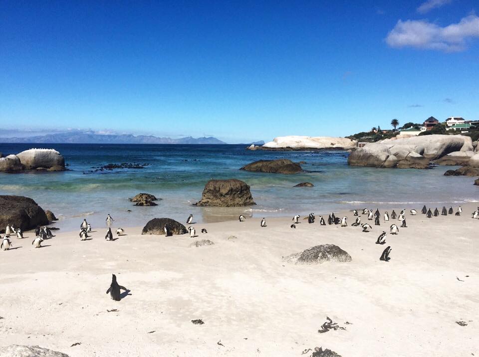 Boulders Beach