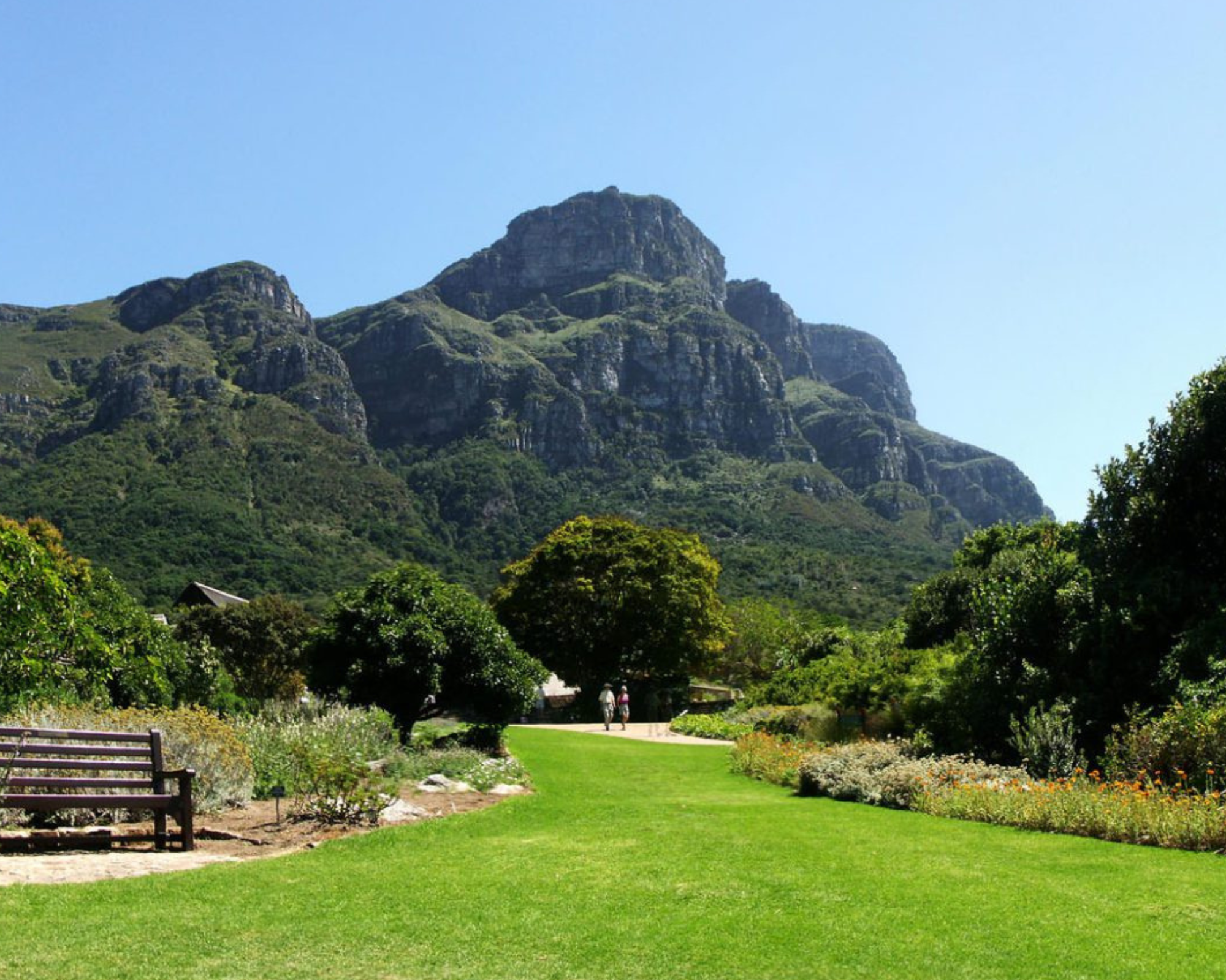 Kirstenbosch National Botanical Garden