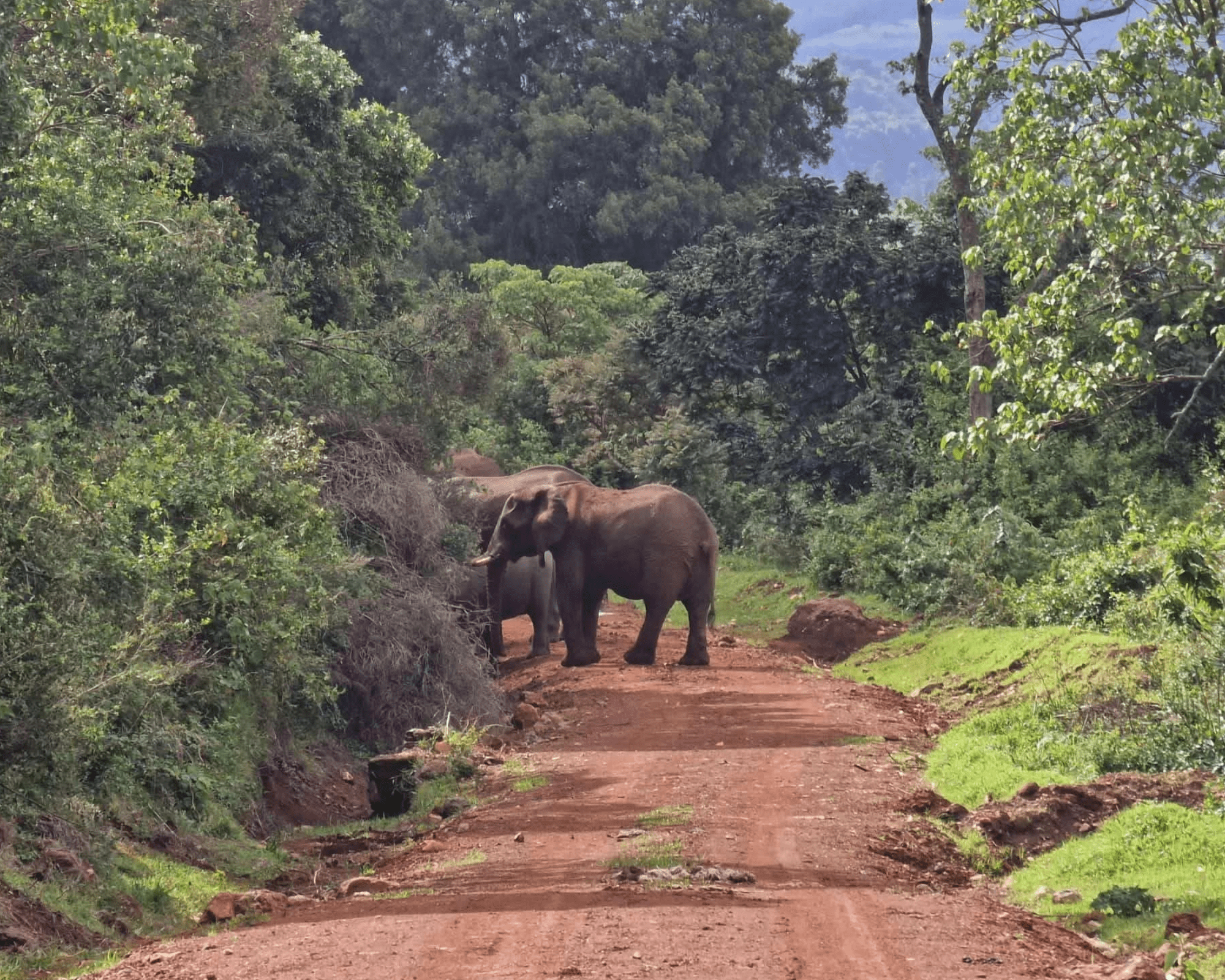 Mount Elgon National Park