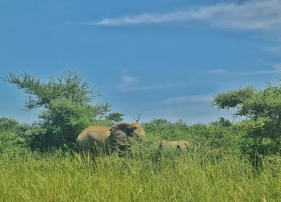 Murchison Falls National Park