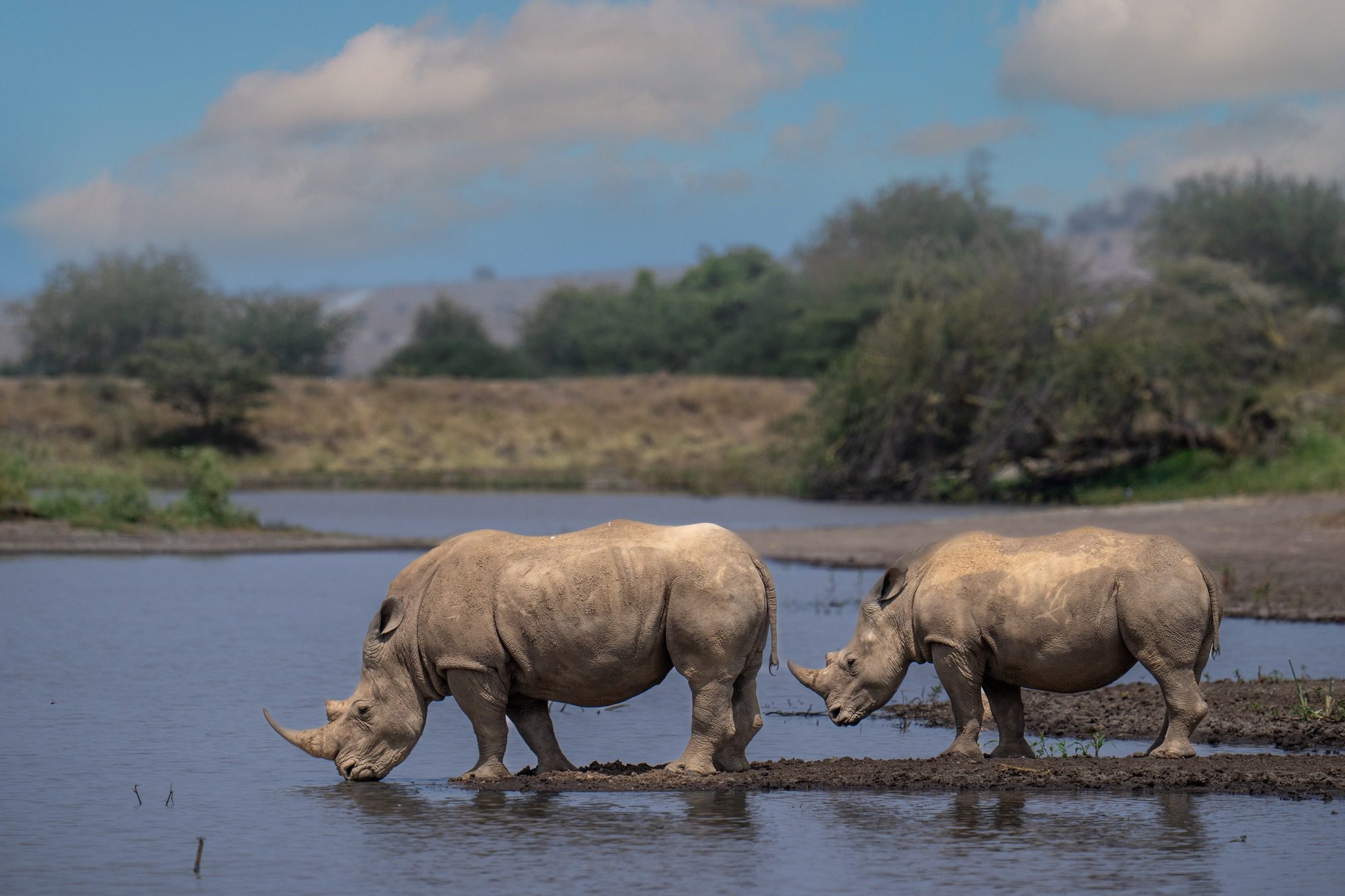 Nairobi National Park