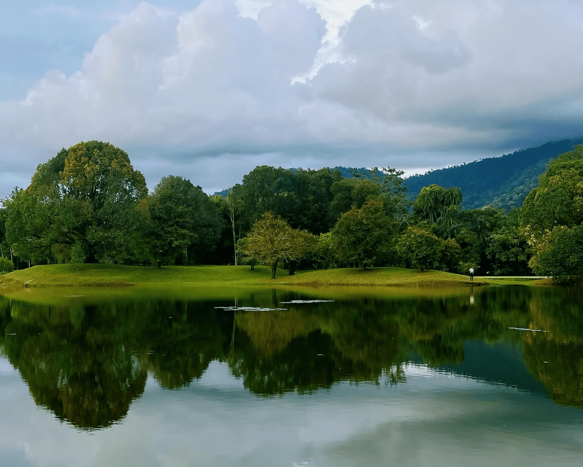 Taiping Lake Gardens