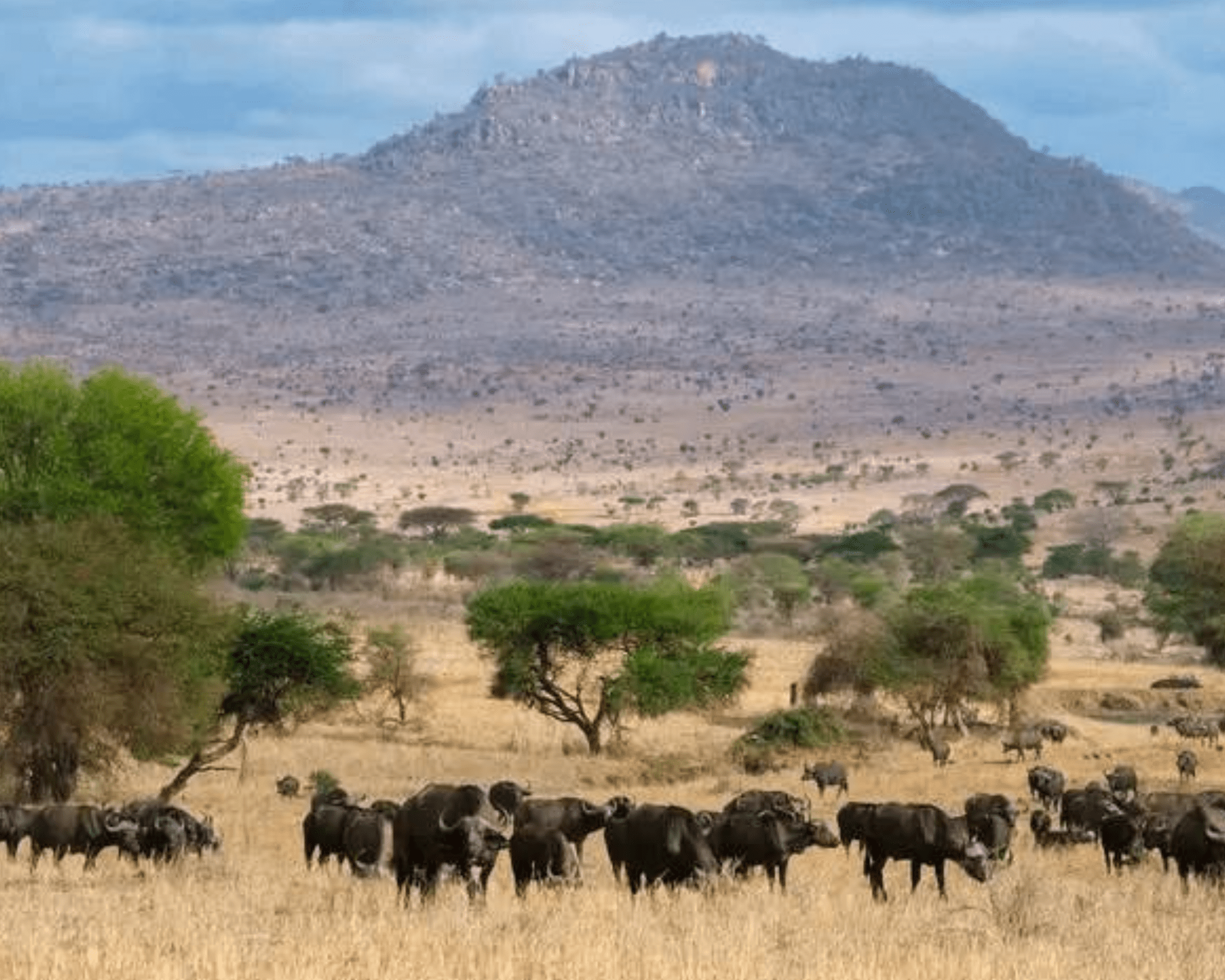 Tsavo East National Park