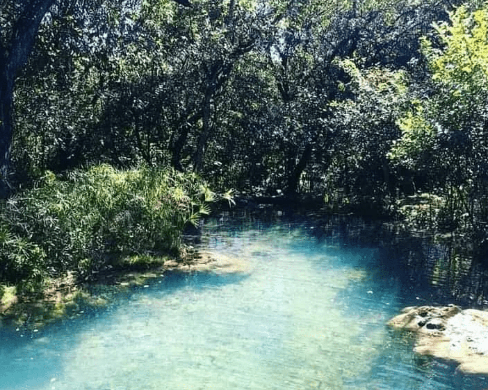 Monkey Pools