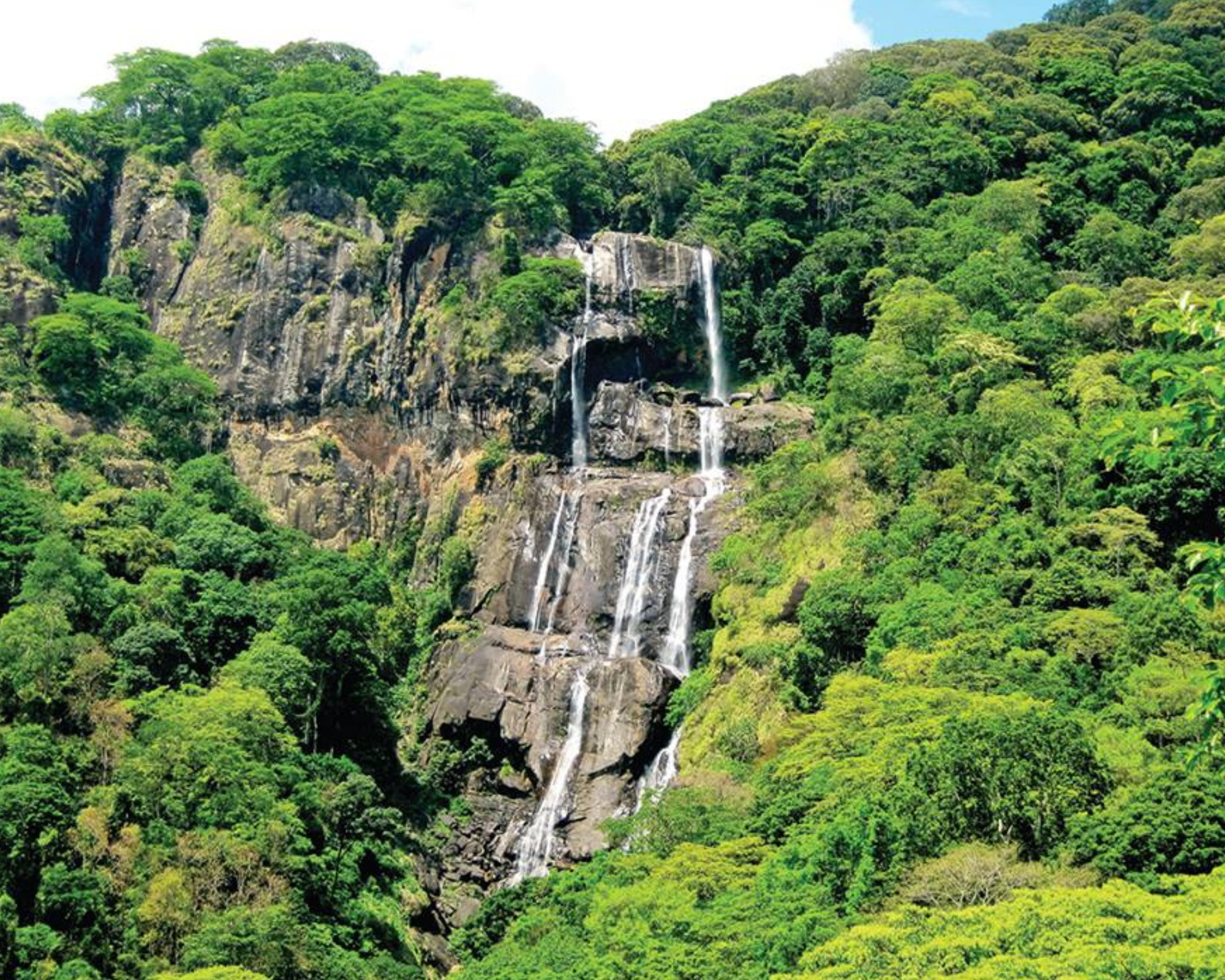 Udzungwa Mountains National Park