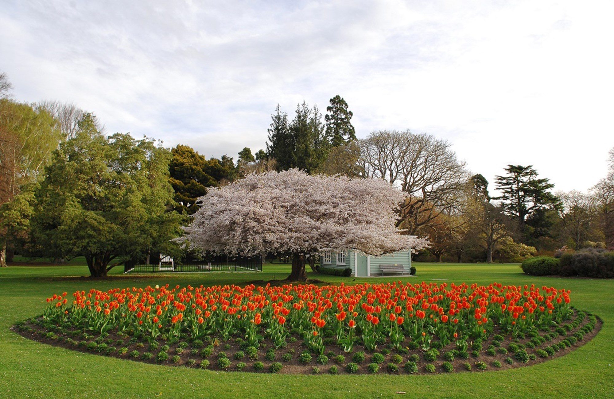 Christchurch Botanical Garden