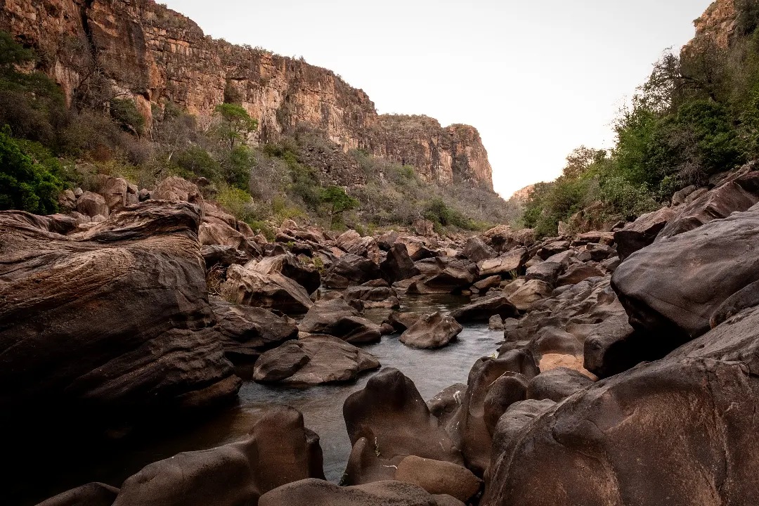 Limpopo National Park