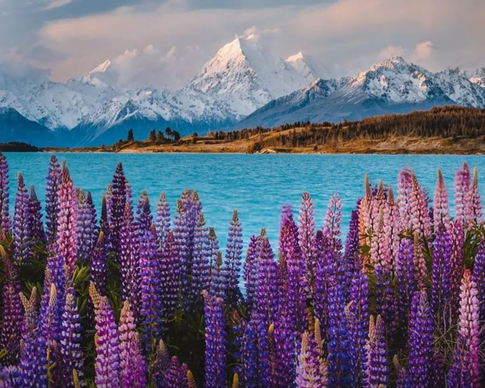 Mount Cook National Park