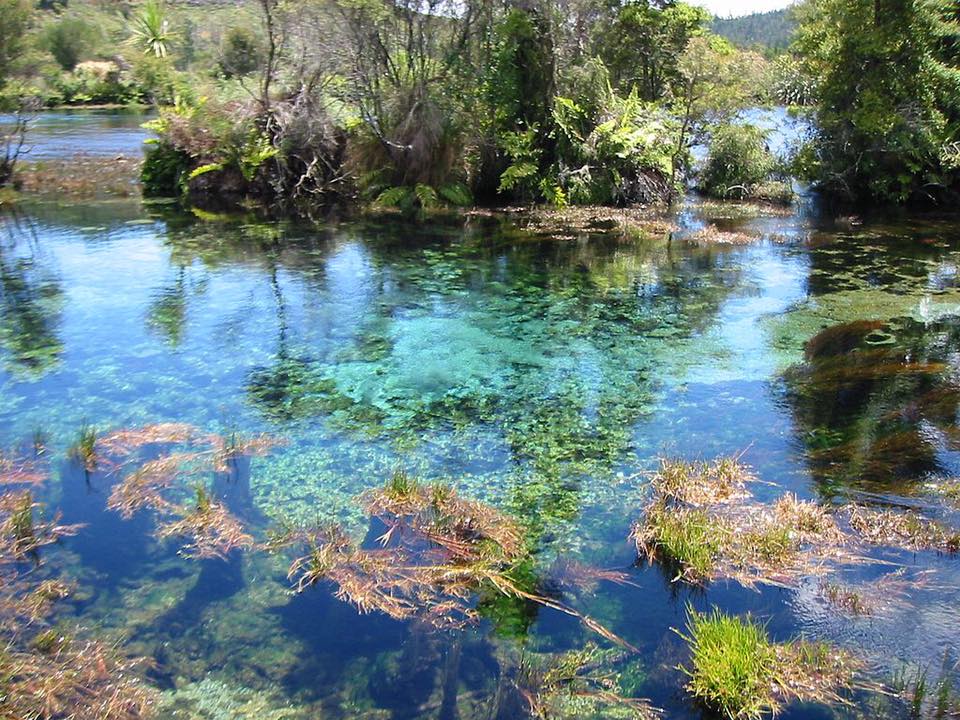 Te Waikoropupu Springs