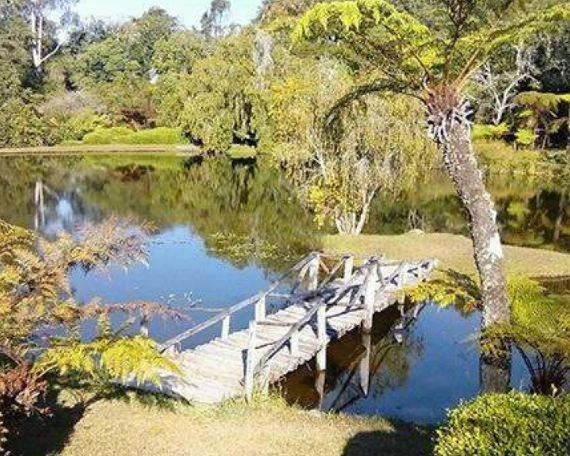 Vumba botanical gardens