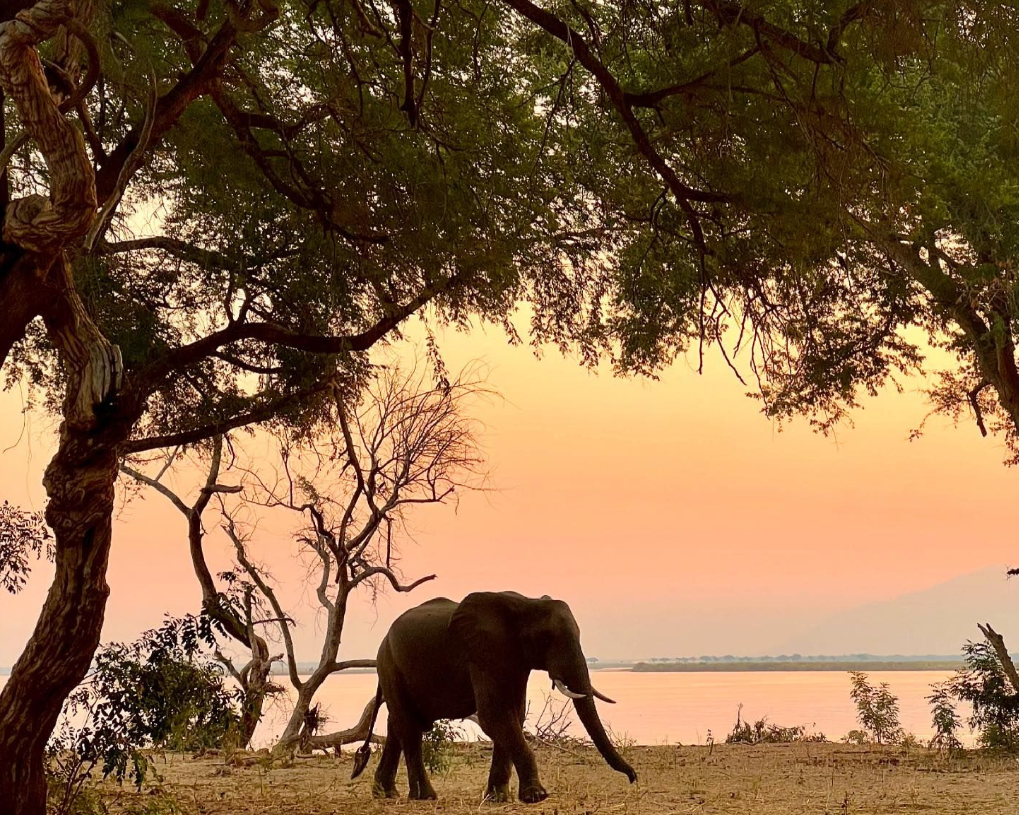 Zambezi National Park