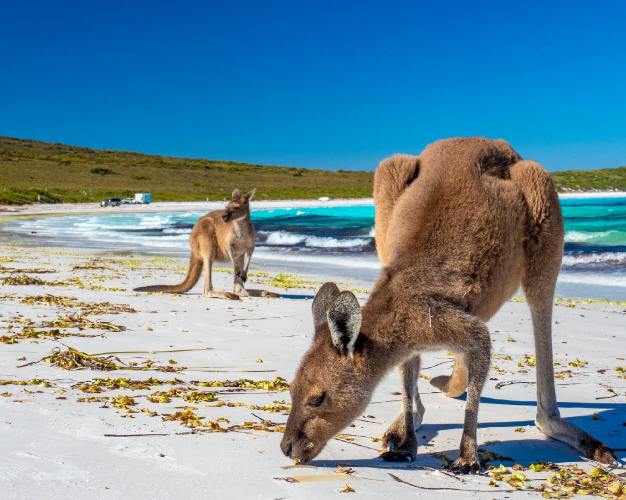 Lucky Bay