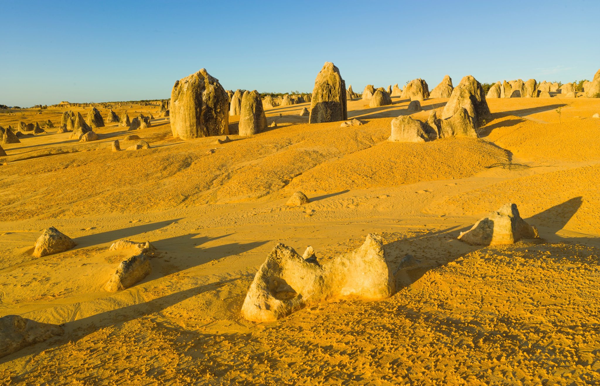 Nambung National Park