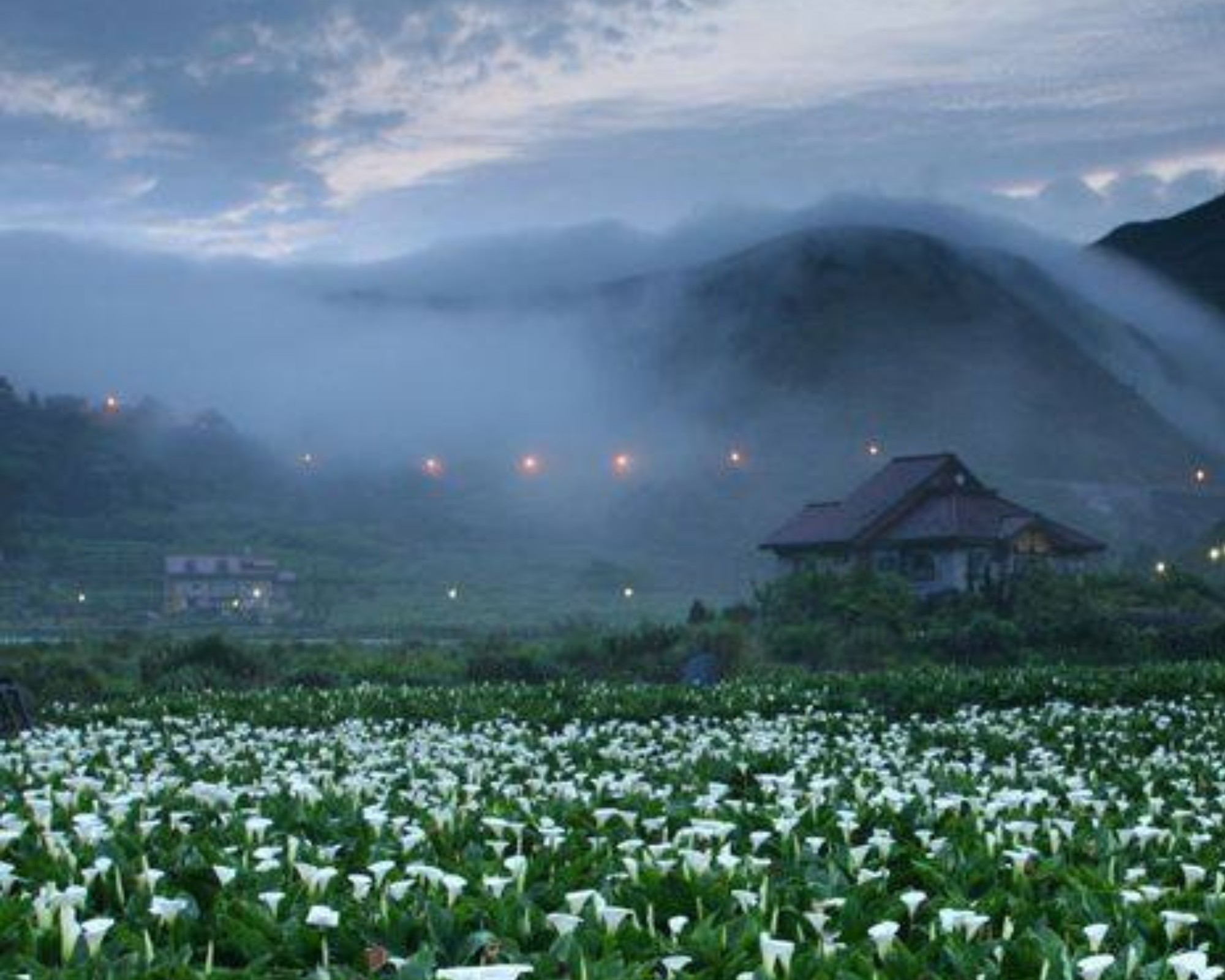 Yangmingshan National Park