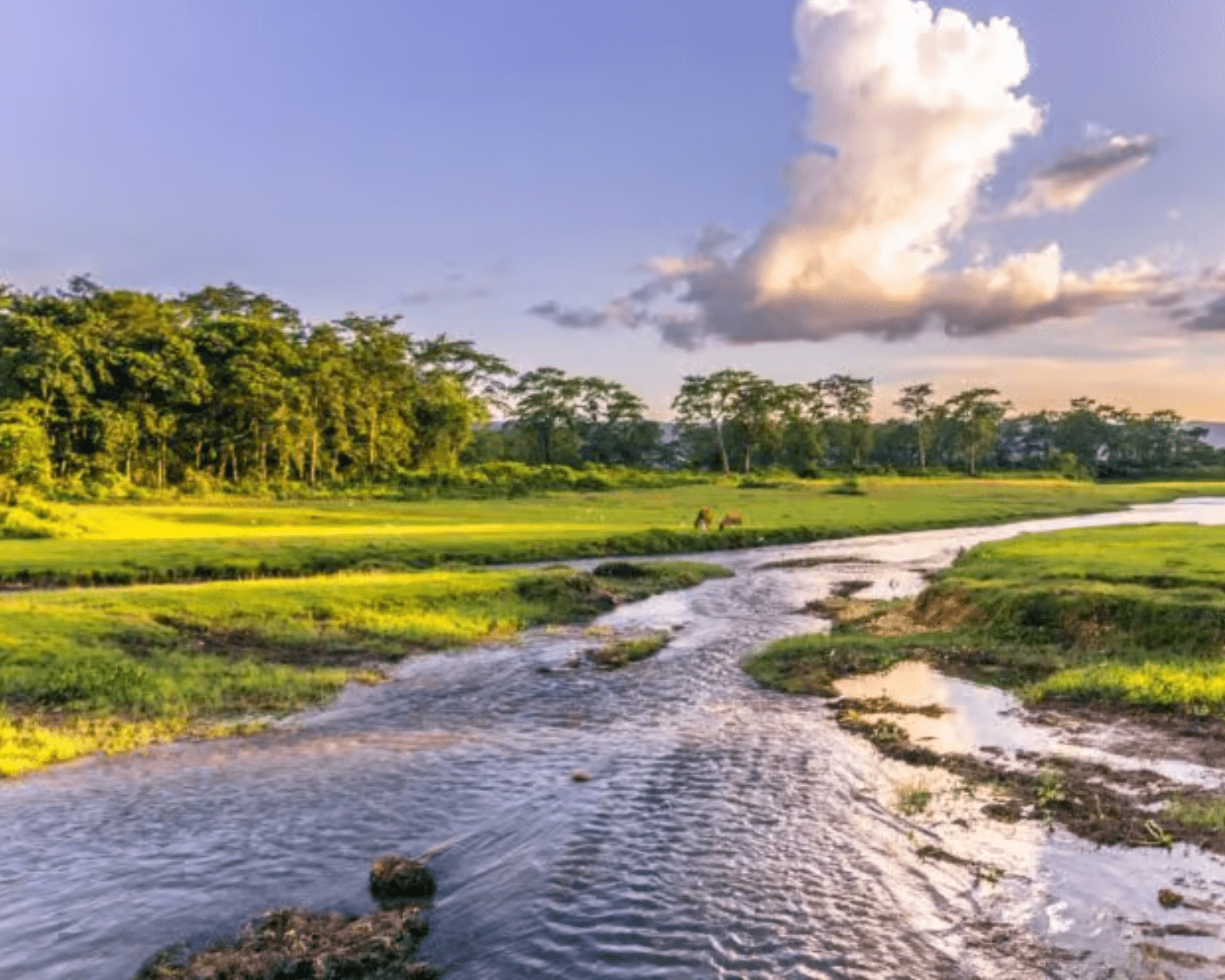 Chitwan National Park