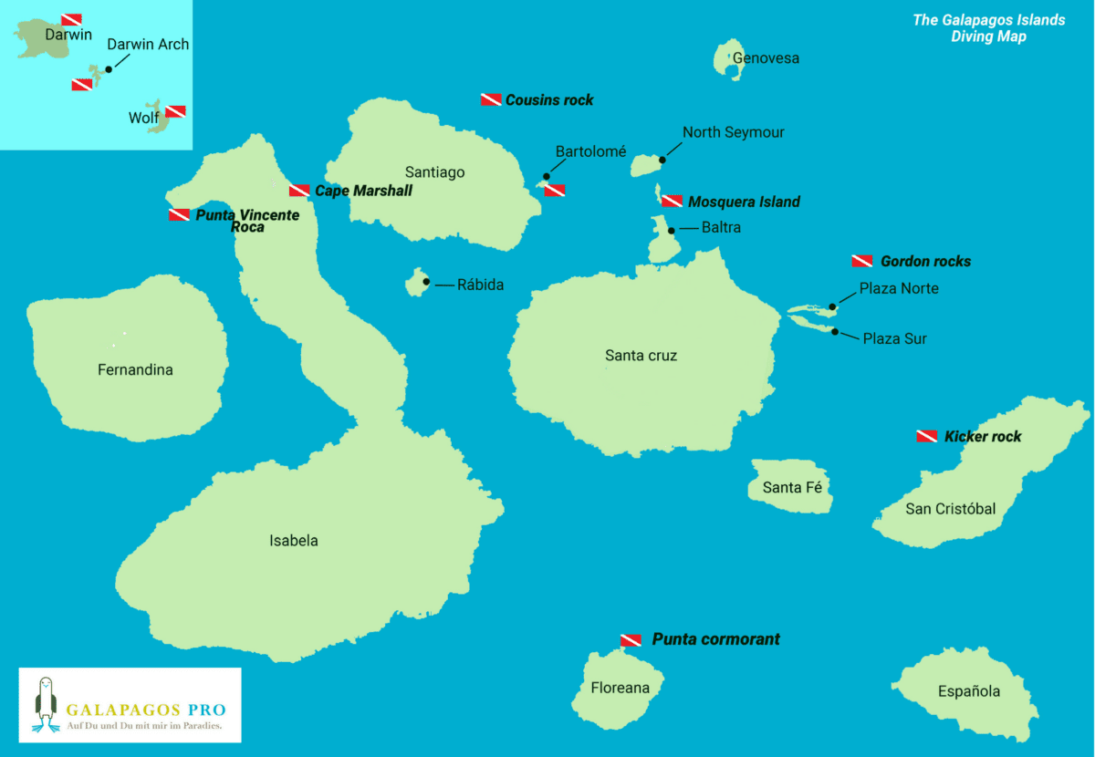 Diversity of Tortoises in the Galapagos 2023 Best Guide