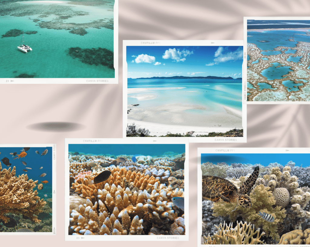 Great Barrier Reef bucketlist ideas