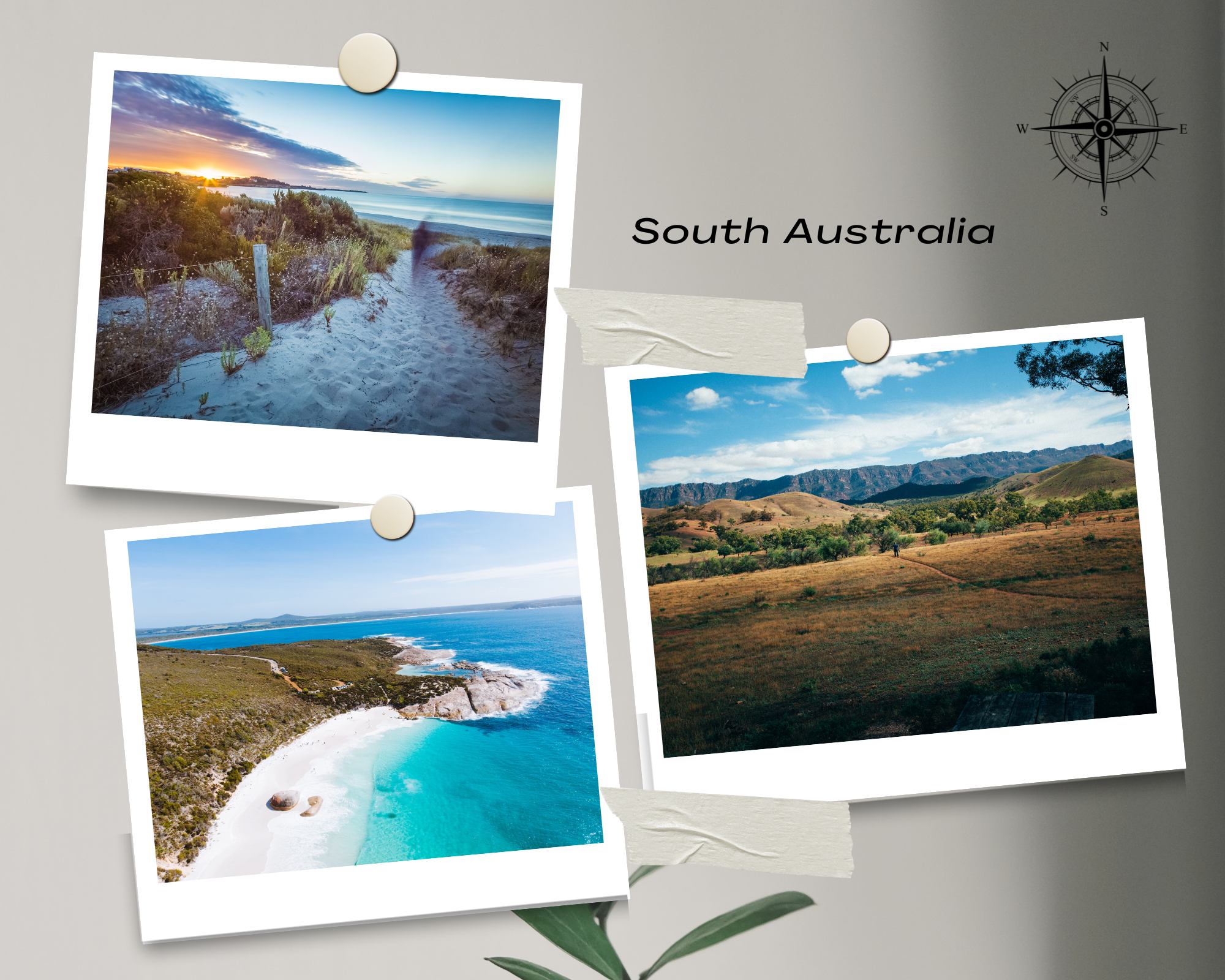 South Australia south australia adelaide