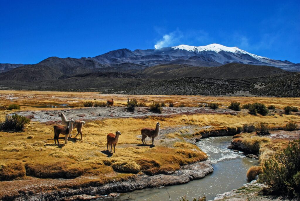 The Surreal Beauty Of Bolivia Flat Salt- 16 Best Attractions