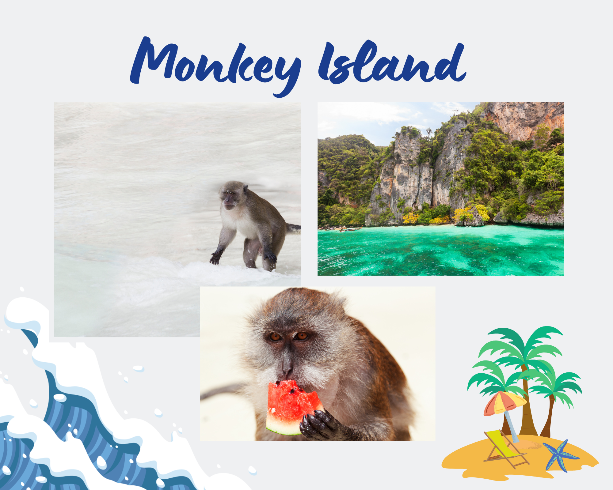Monkey Island Thailand