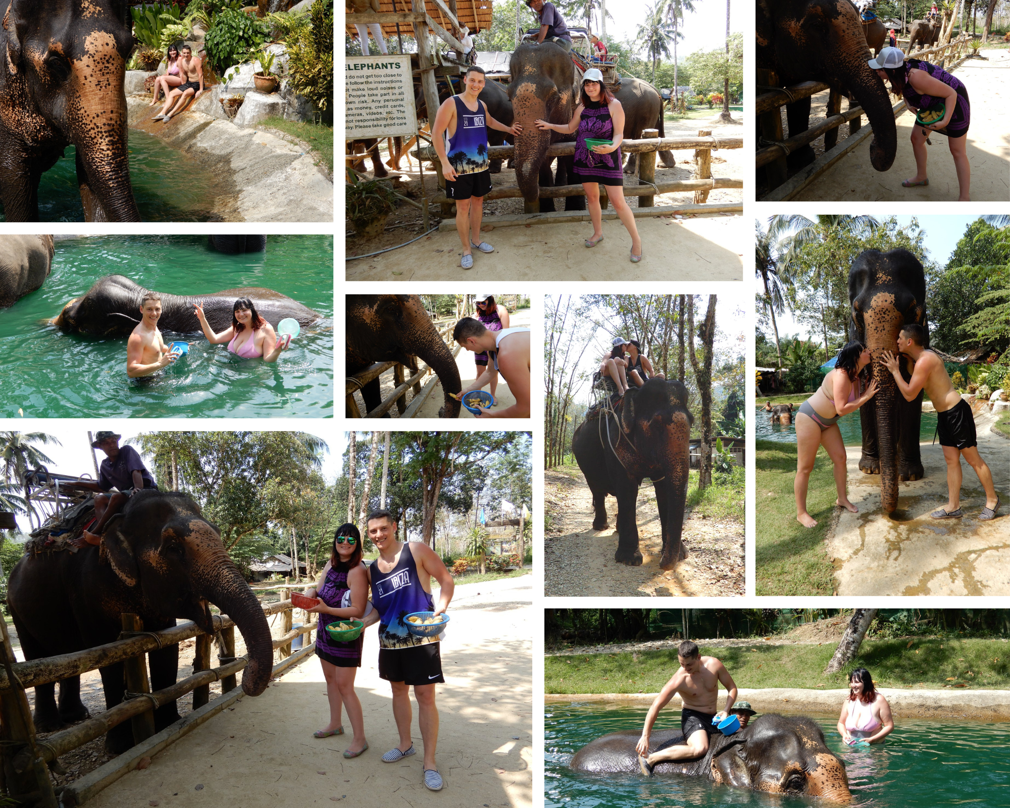 Sairung Elephant Camp Khao Lak Thailand