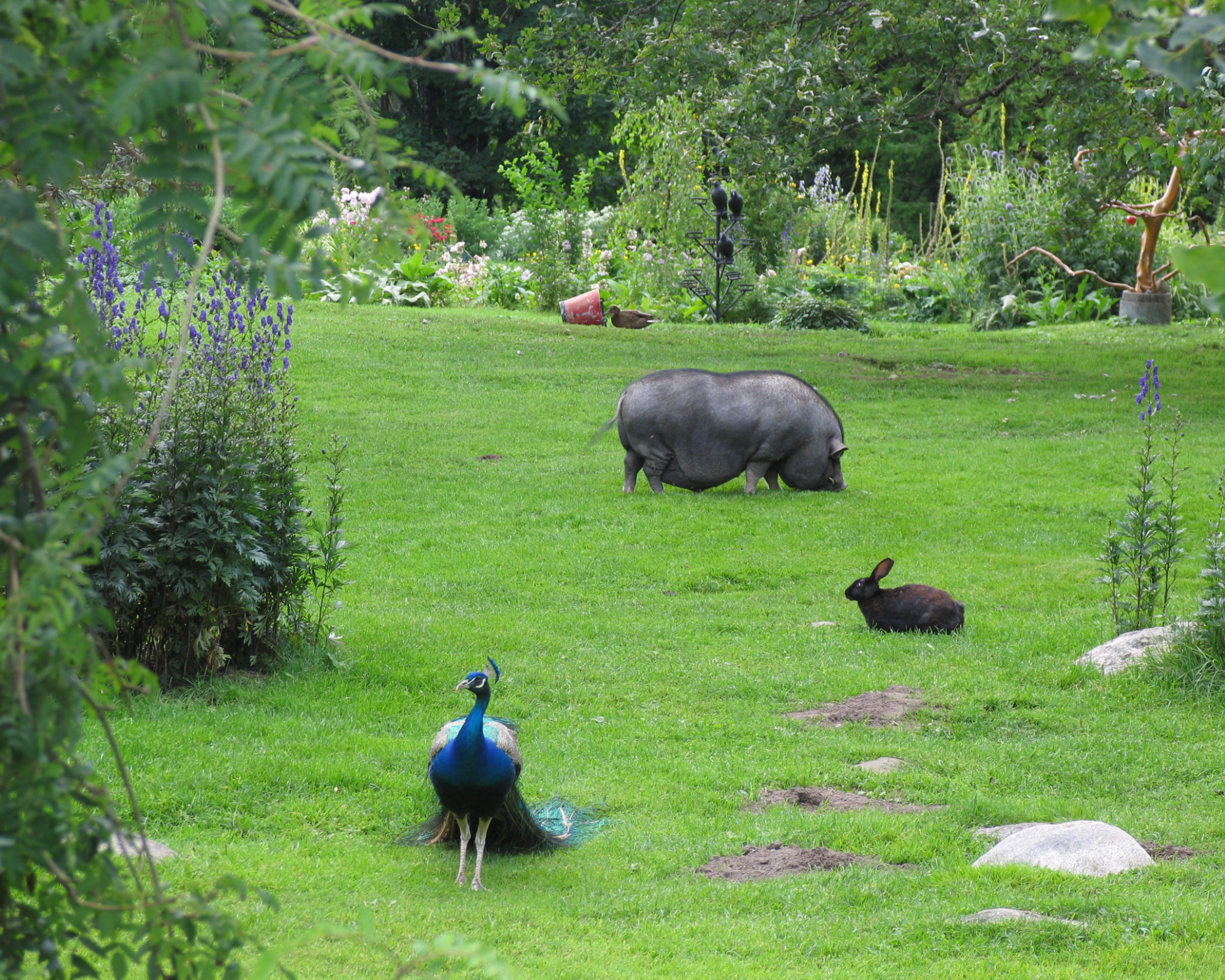 Schönbrunn Zoo